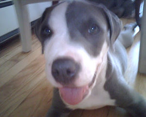 Meet your Posher, Tammy